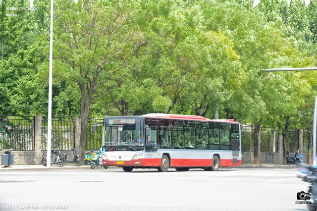 800BUS