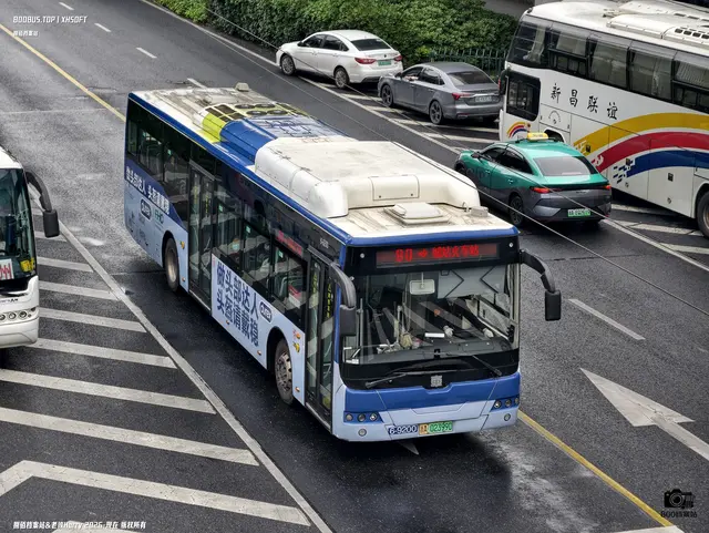 浙A 02399D