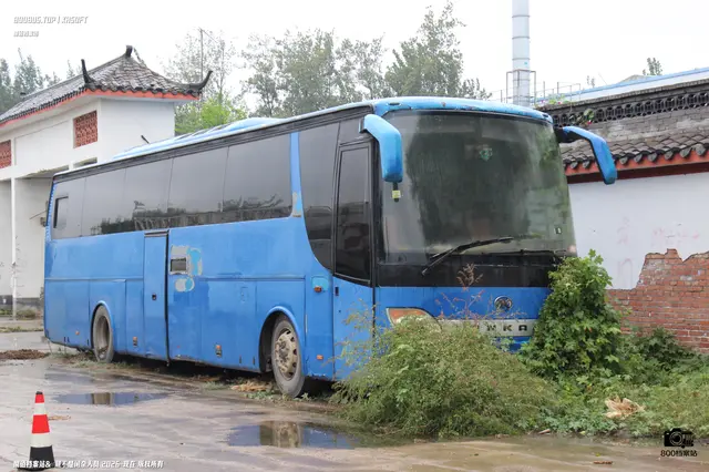 鲁A B0011