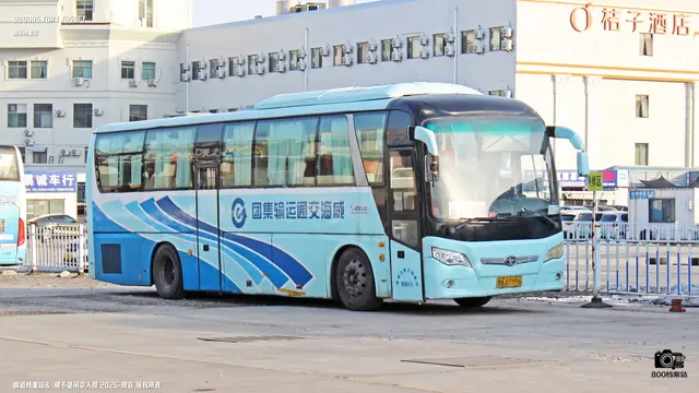 800BUS
