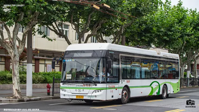 沪D 8020学