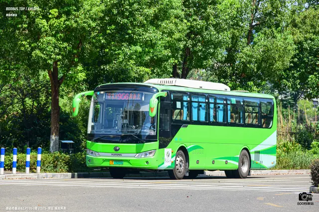 800BUS