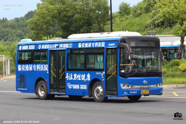 浙A 6N702