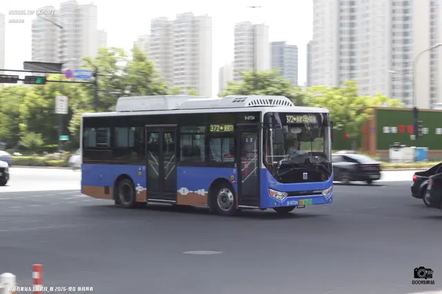 浙A 06165D