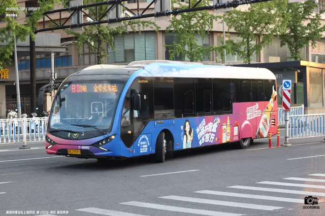 浙G 29591