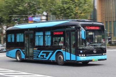浙A 00505D