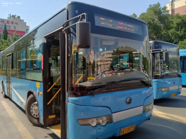 800BUS