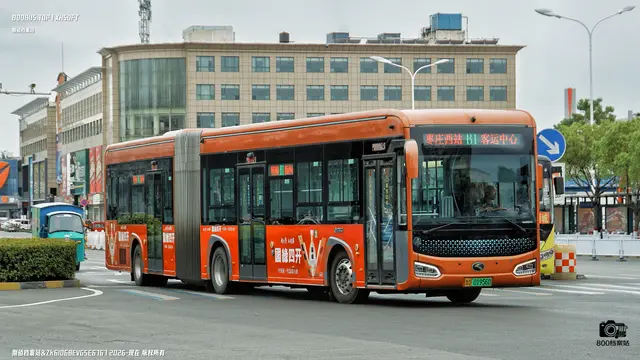 鲁D 01956D