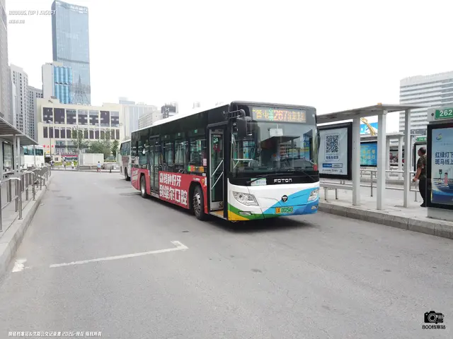 辽A 00254D