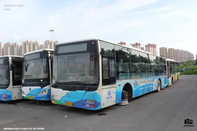 辽A N6170