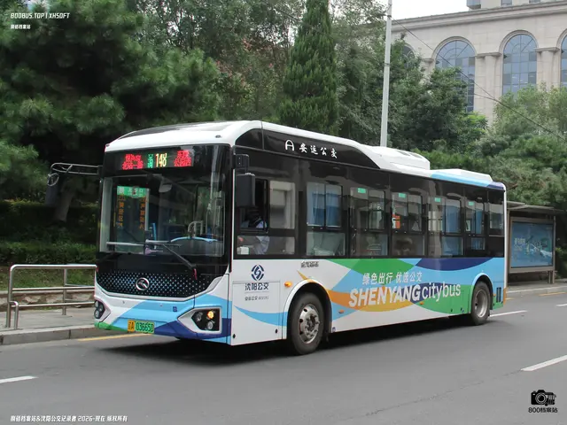 辽A 03665D