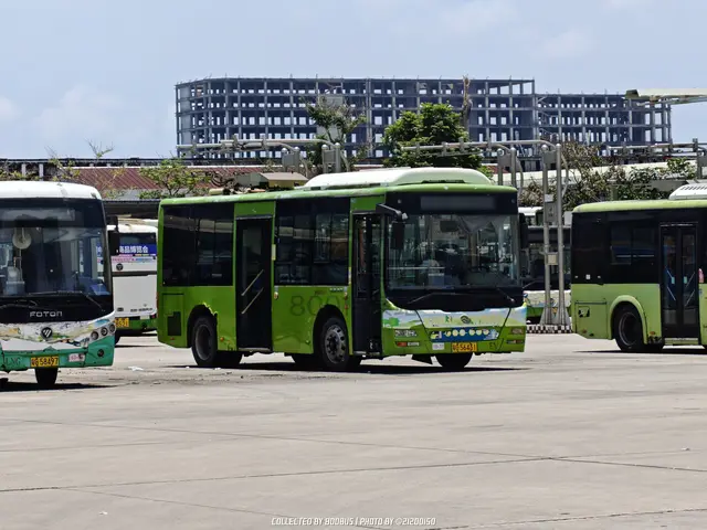 粤G 56431