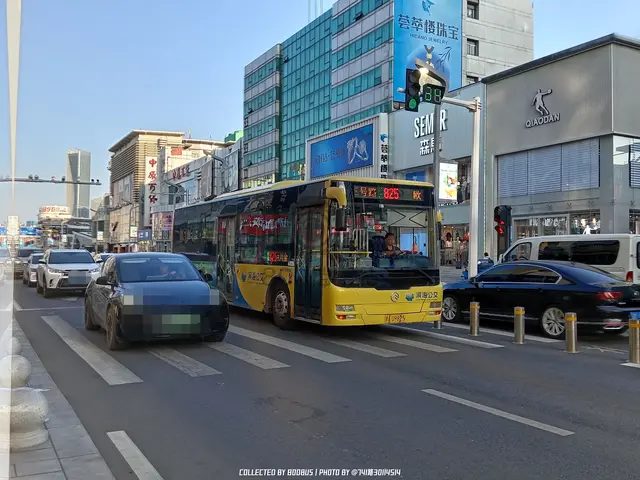 津A U9825