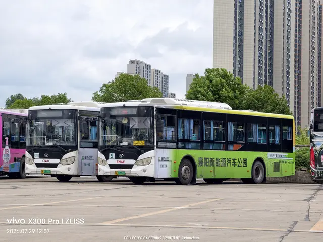 右：鄂F 12066D 左：鄂F 16311D