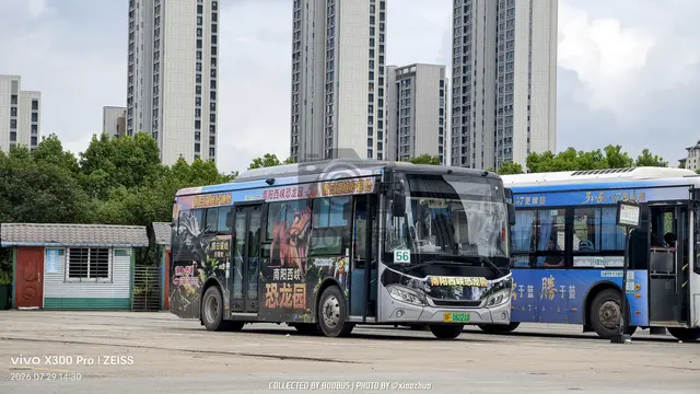 鄂F 16221D