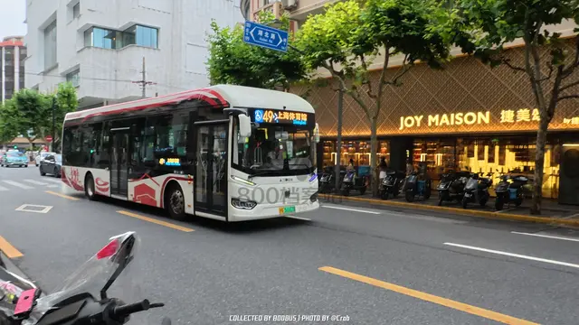 沪A 51117D