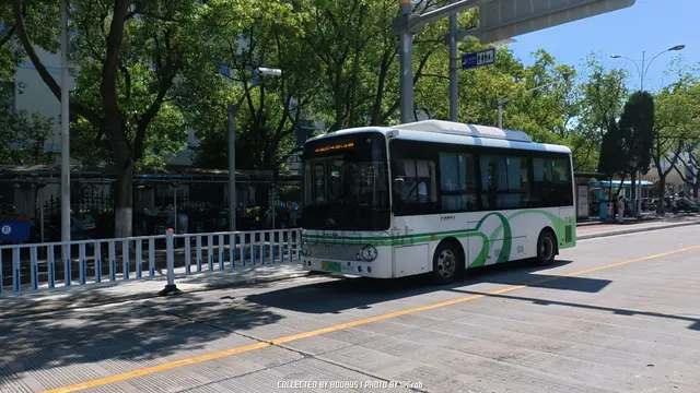 沪A 08575D