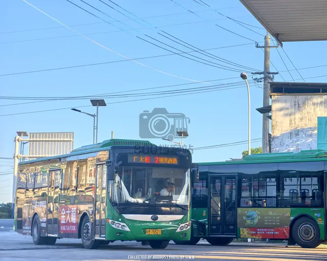 皖M 75521