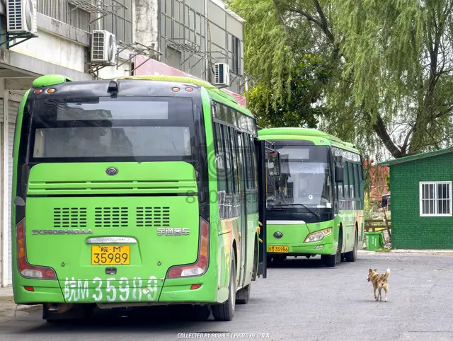 皖M 35989