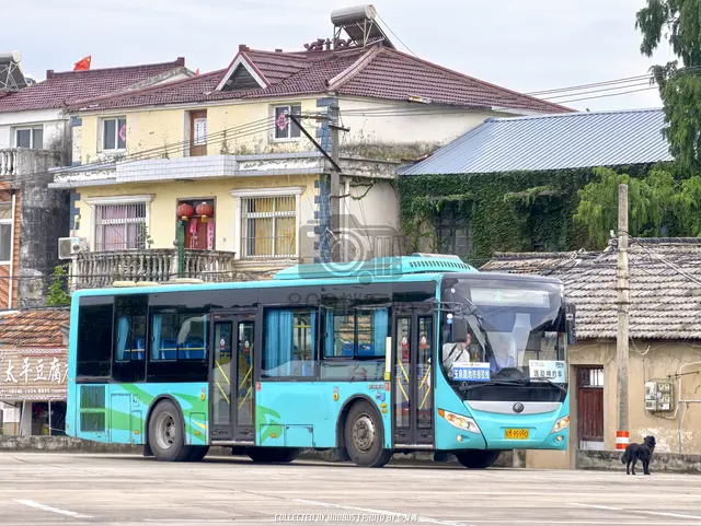 皖M 95990