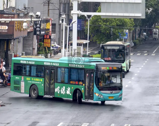 皖M 95989
