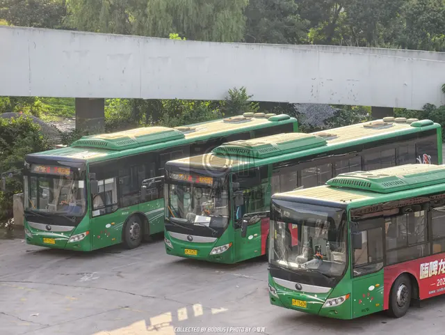 皖M 75633