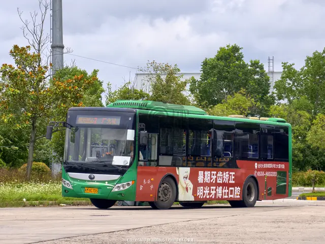 皖M 8C705