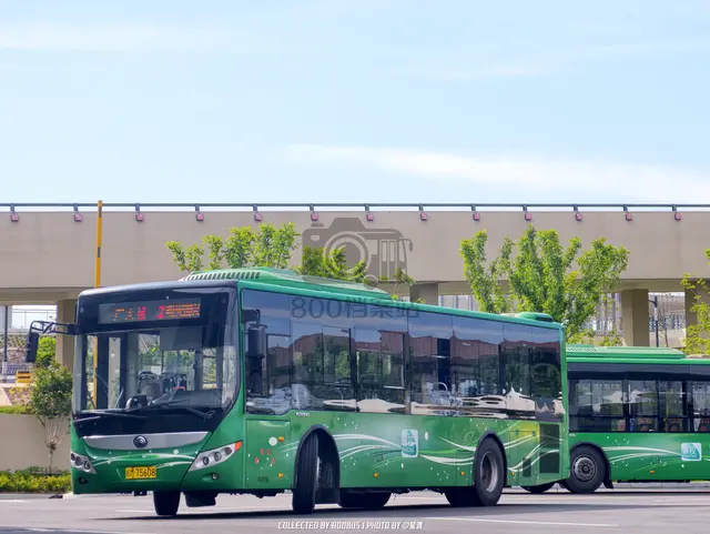 皖M 75608