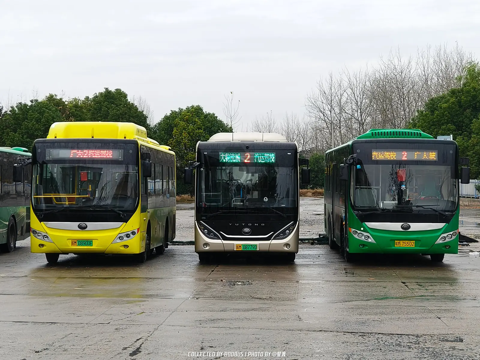 Bus Archive