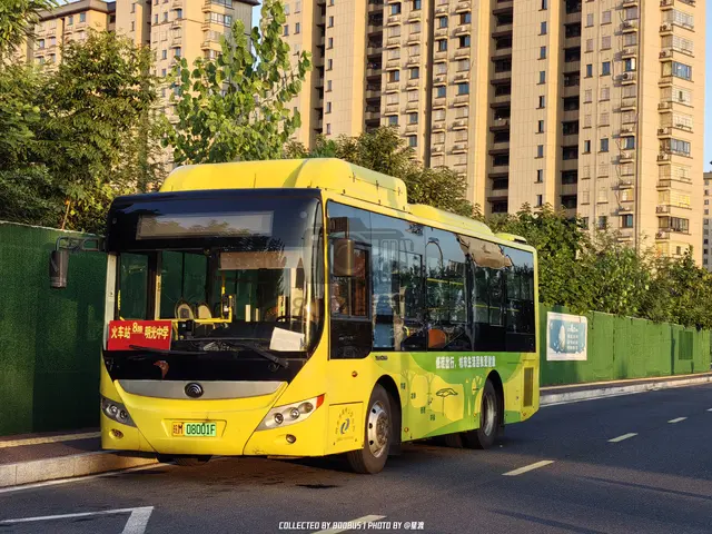 皖M 08001F