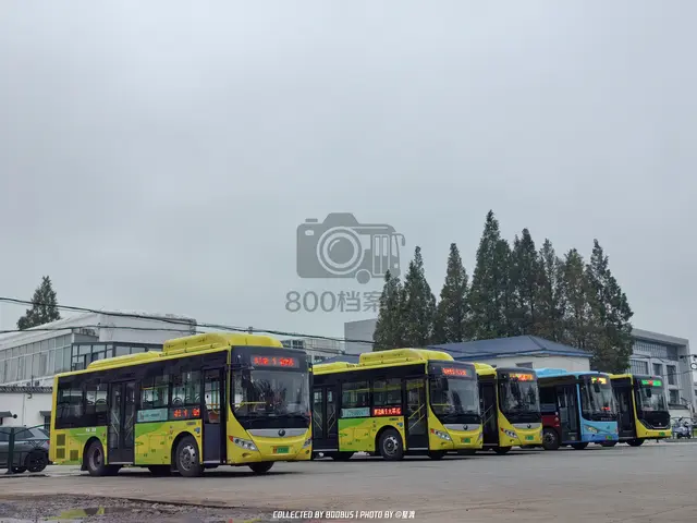 皖M 03066F