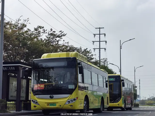 皖M 09961F