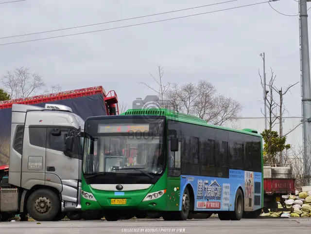 皖M 75503