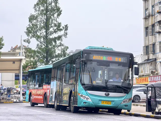 皖M 95833