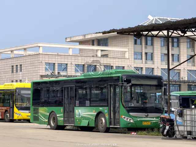 皖M 75603