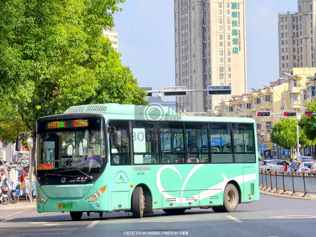 皖M 06311D