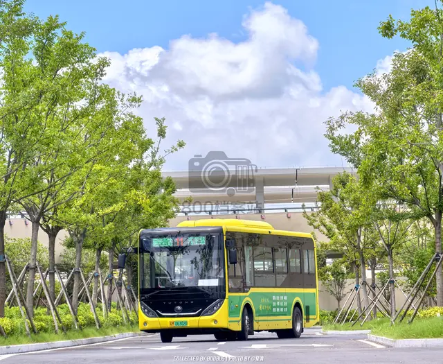 皖M 06302D