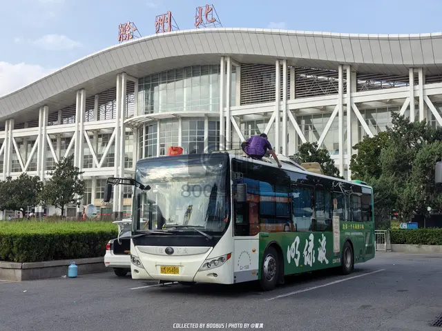 皖M 95480