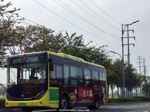皖M 07995D
