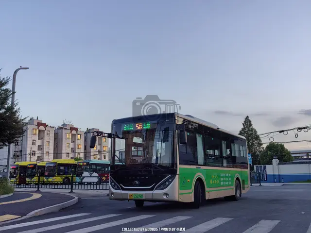 皖M 05699D