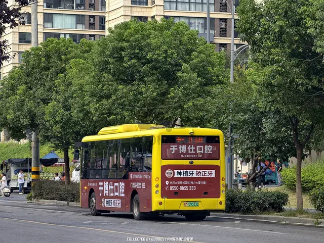 皖M 09533D