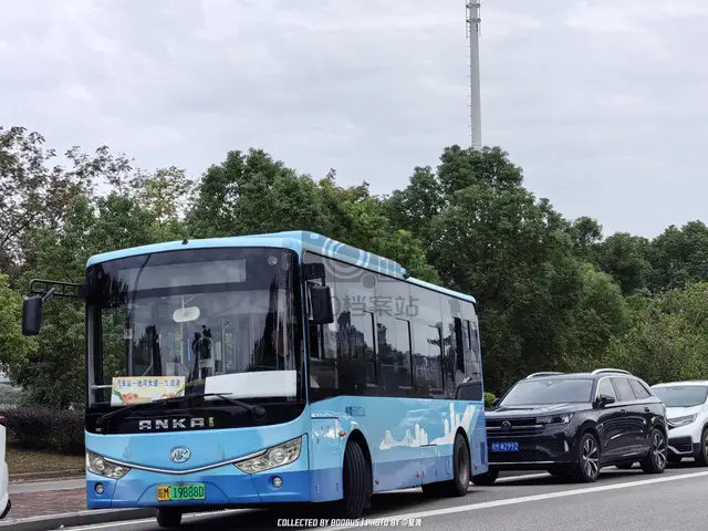 皖M 19888D