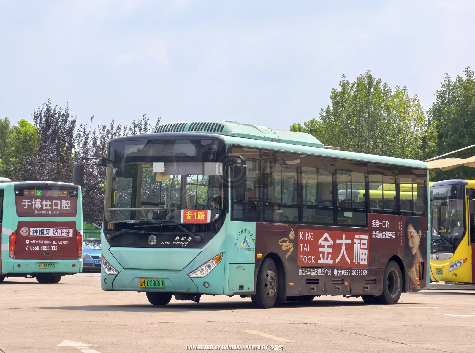 Bus Archive