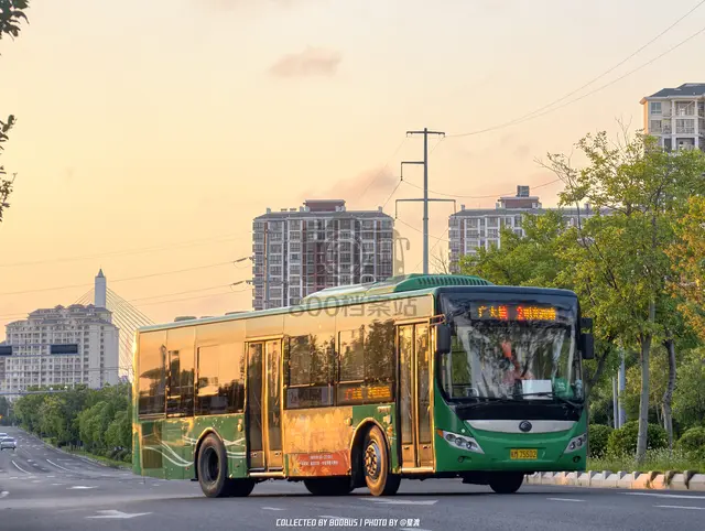 皖M 75502