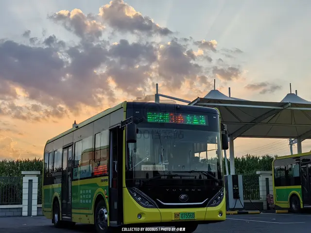皖M 07556D