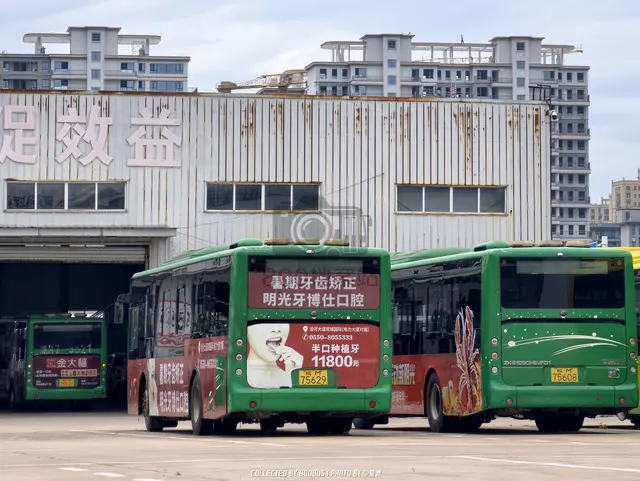皖M 75629