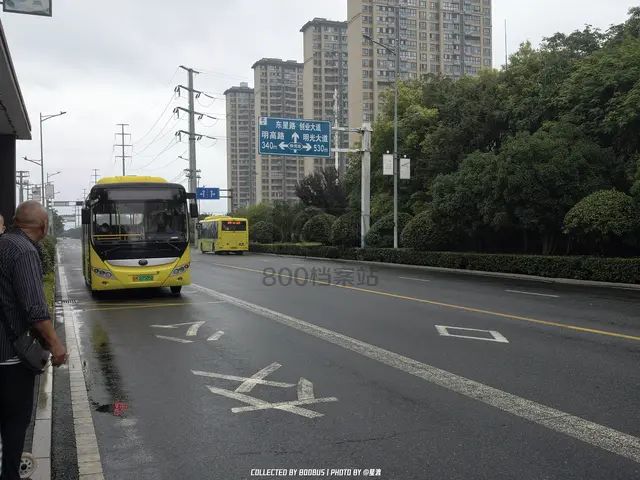 皖M 07505D