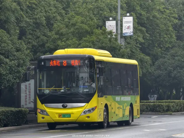 皖M 08711D