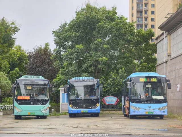 皖M 08853D