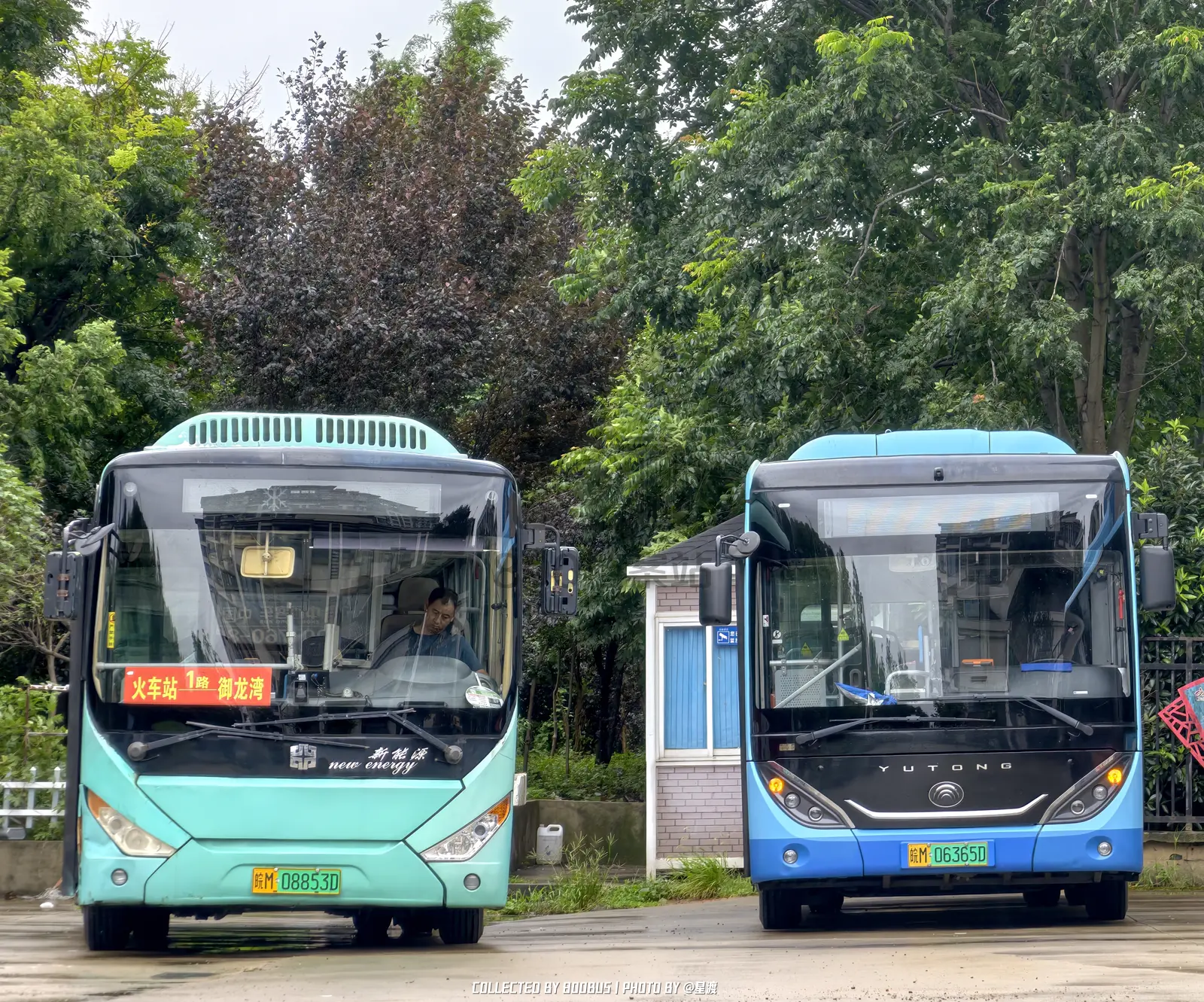 Bus Archive